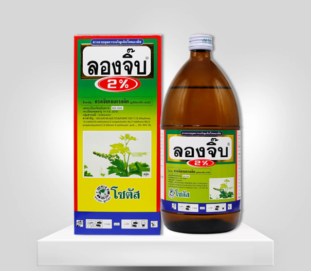 ลองจิ๊บ 2%