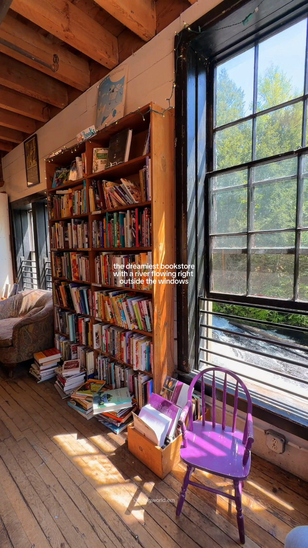 Bookshelves and a purple chair beside tall windows looking onto trees and water.