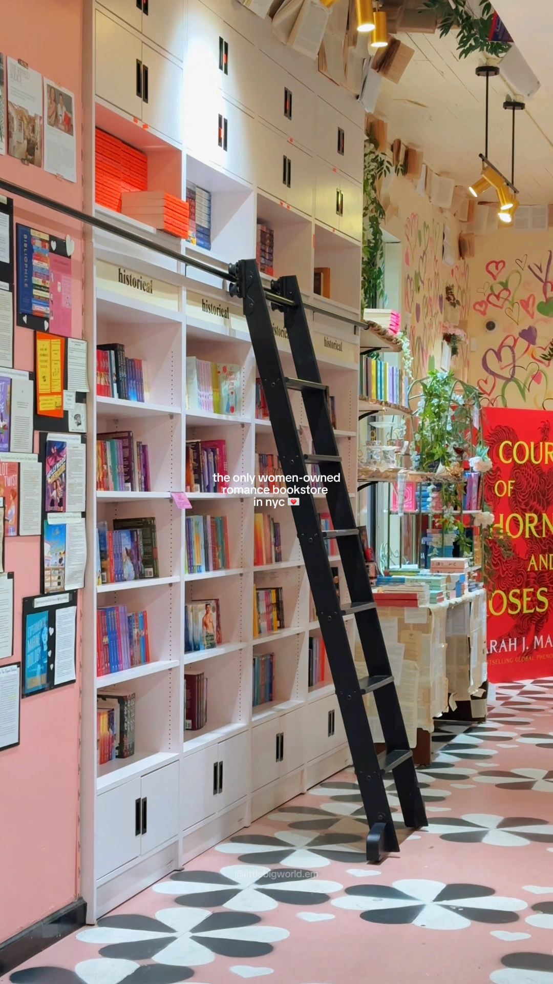 A pink-and-white bookshop with a ladder and books suspended from the ceiling.