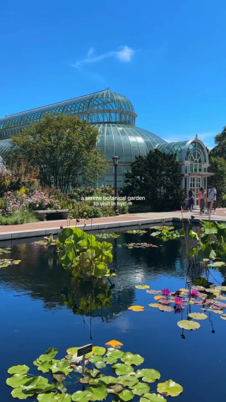 A glass conservatory and water-lily pool beneath a blue sky.