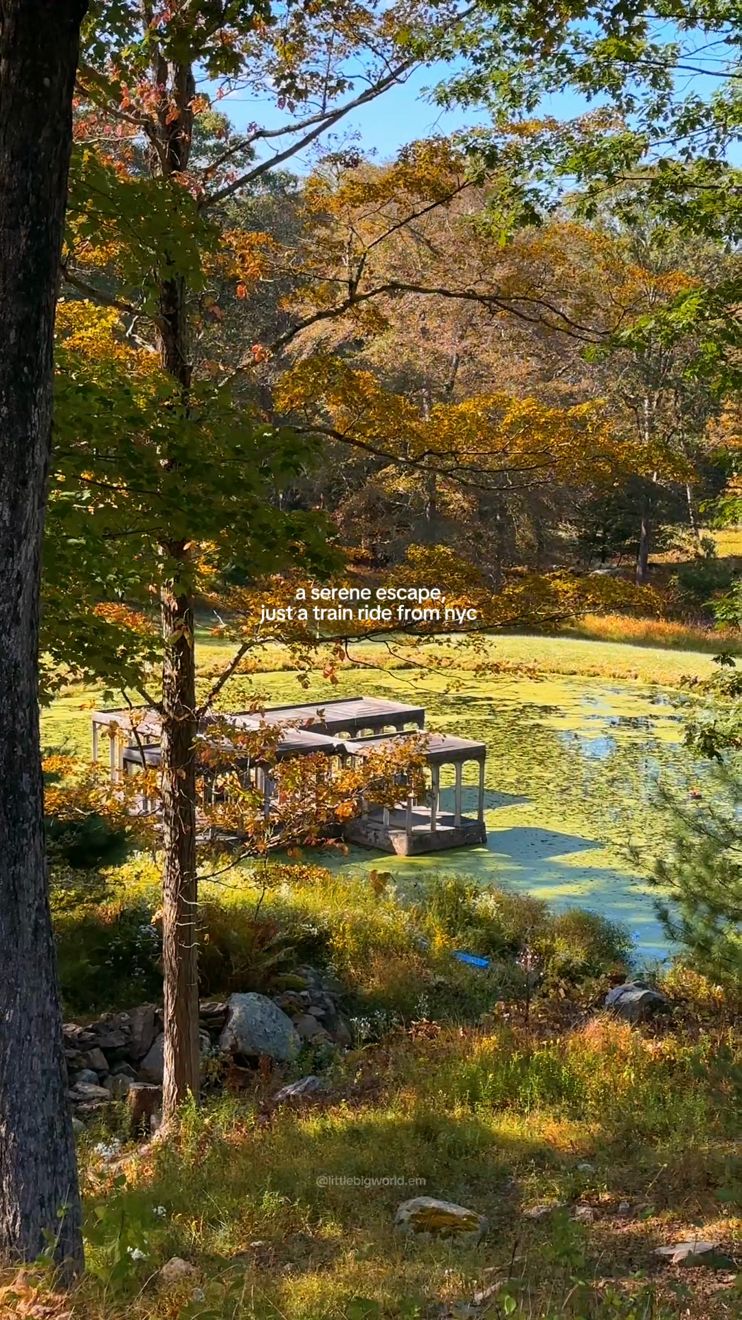 A garden pond and wooden seat surrounded by autumn trees.