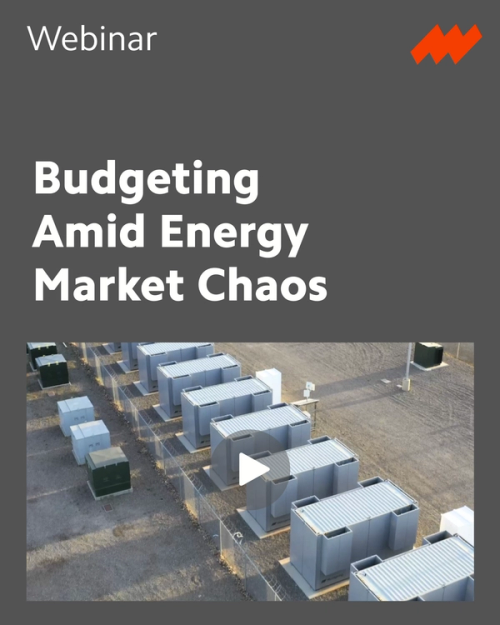Budgeting Amid Energy Market Chaos: How to Secure Predictable, Affordable Power