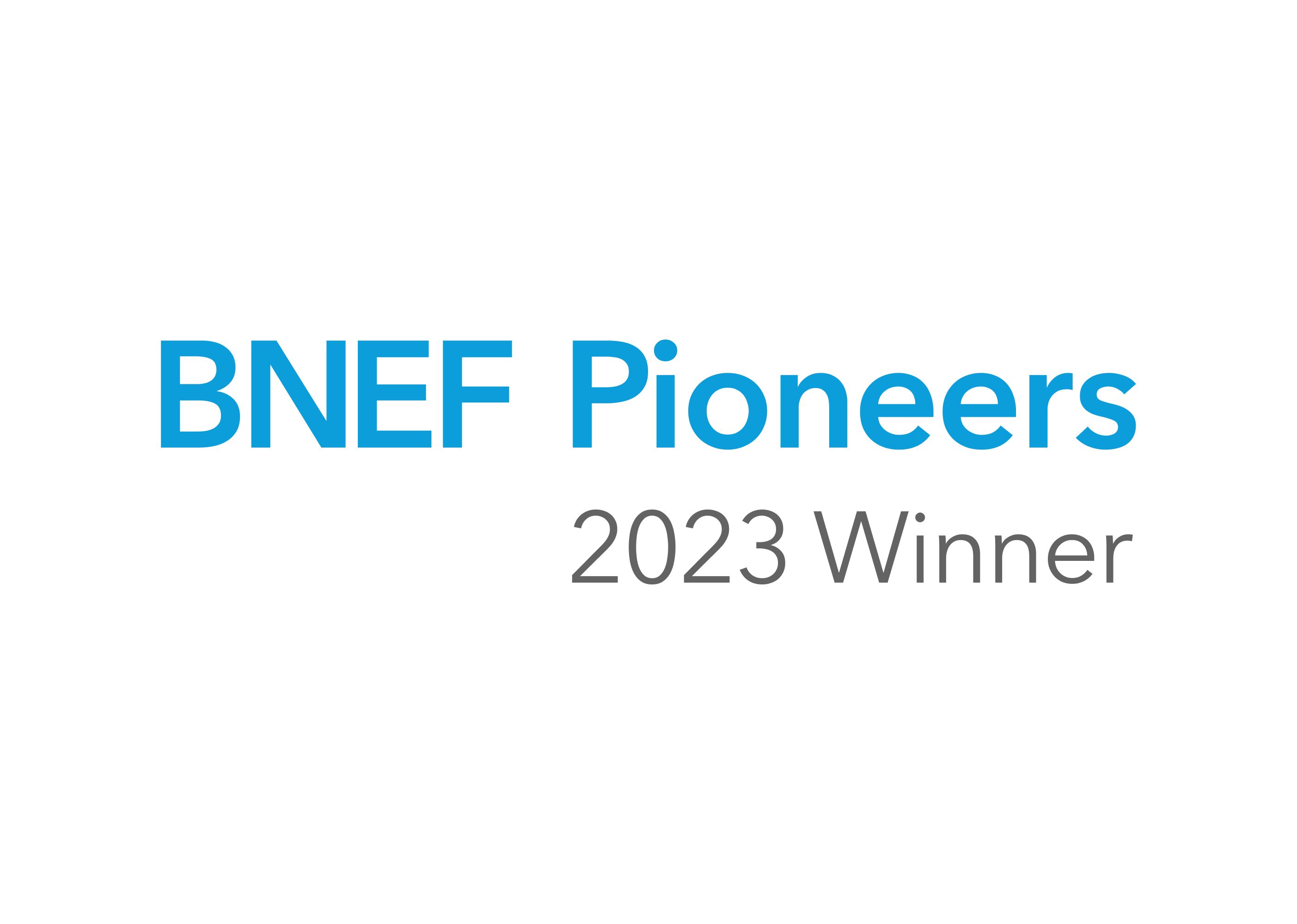 BNEF 2023 Winner