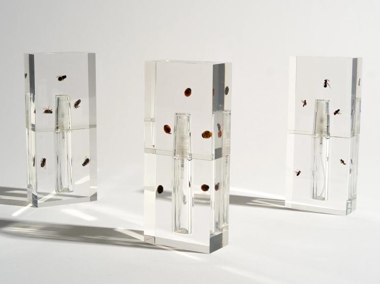 Three clear perfume vials with insects encased in their glass stand on a white backdrop.