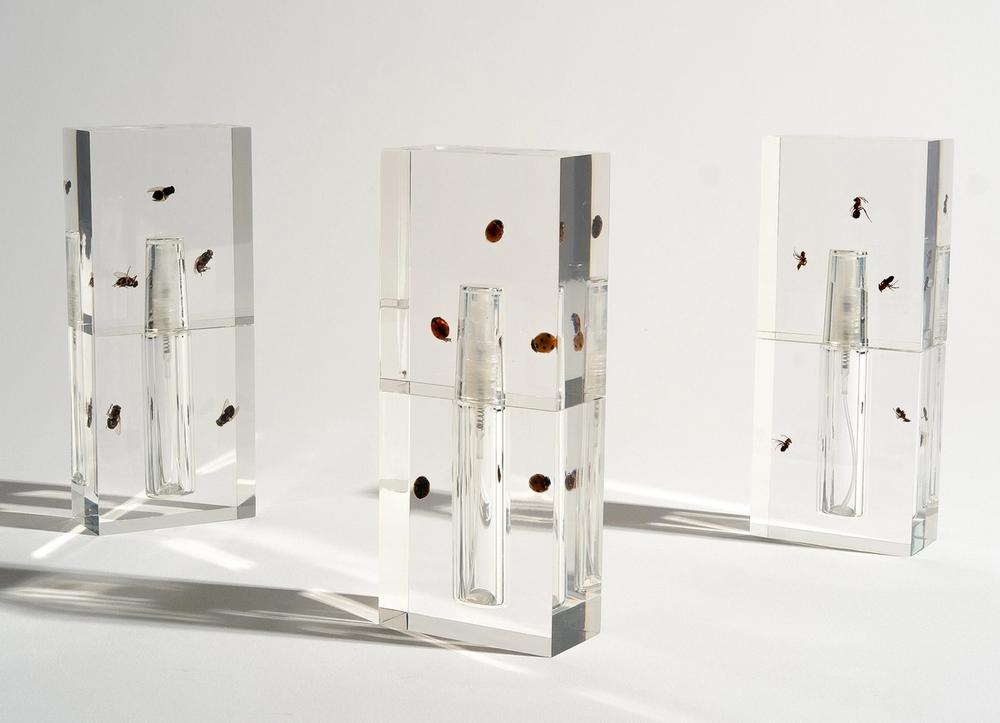 Three clear perfume vials with insects encased in their glass stand on a white backdrop.