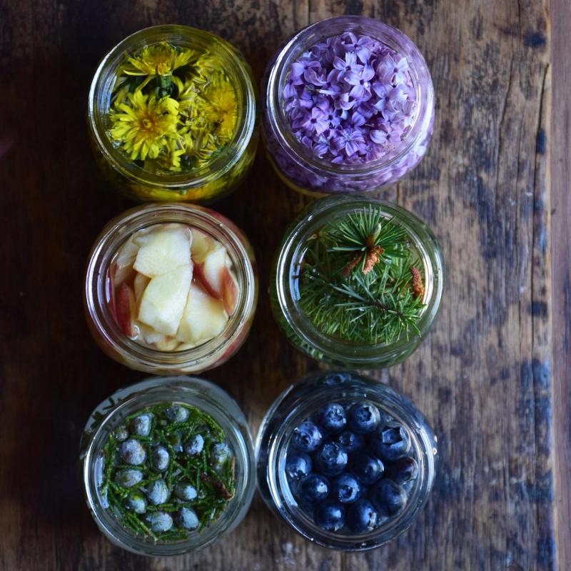 Wild yeast starters made by Baudar. (Courtesy Pascal Baudar)