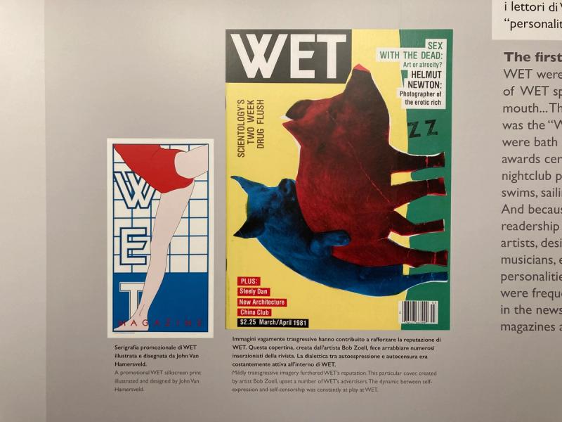 View of the “What why WET?” exhibition at the Museum of Contemporary Art of Rome. (Courtesy Leonard Koren)