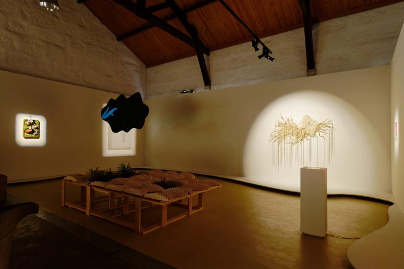 Installation image of “The Art of Mushrooms.” (Photo: André Delhaye. Courtesy the Serralves Museum.)