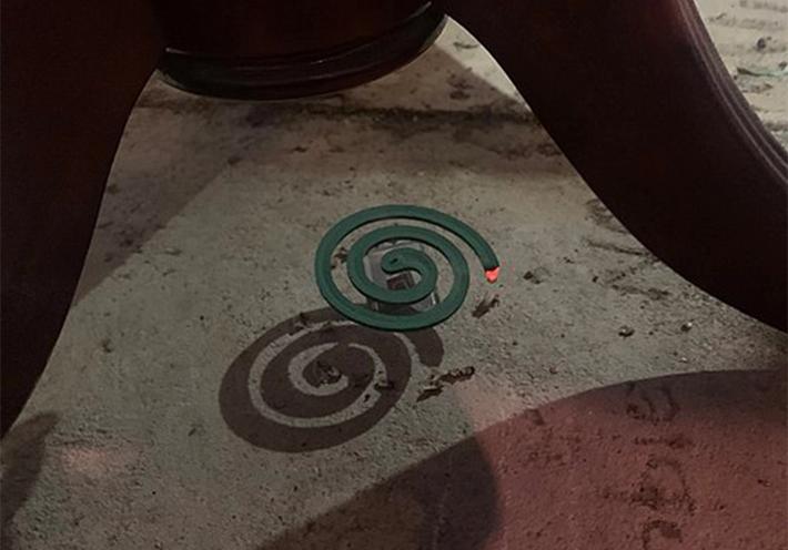 A mosquito coil. 