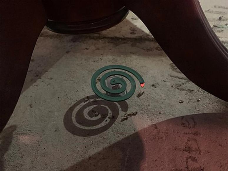 A mosquito coil.