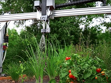 A FarmBot waters a bed of herbs and vegetables.