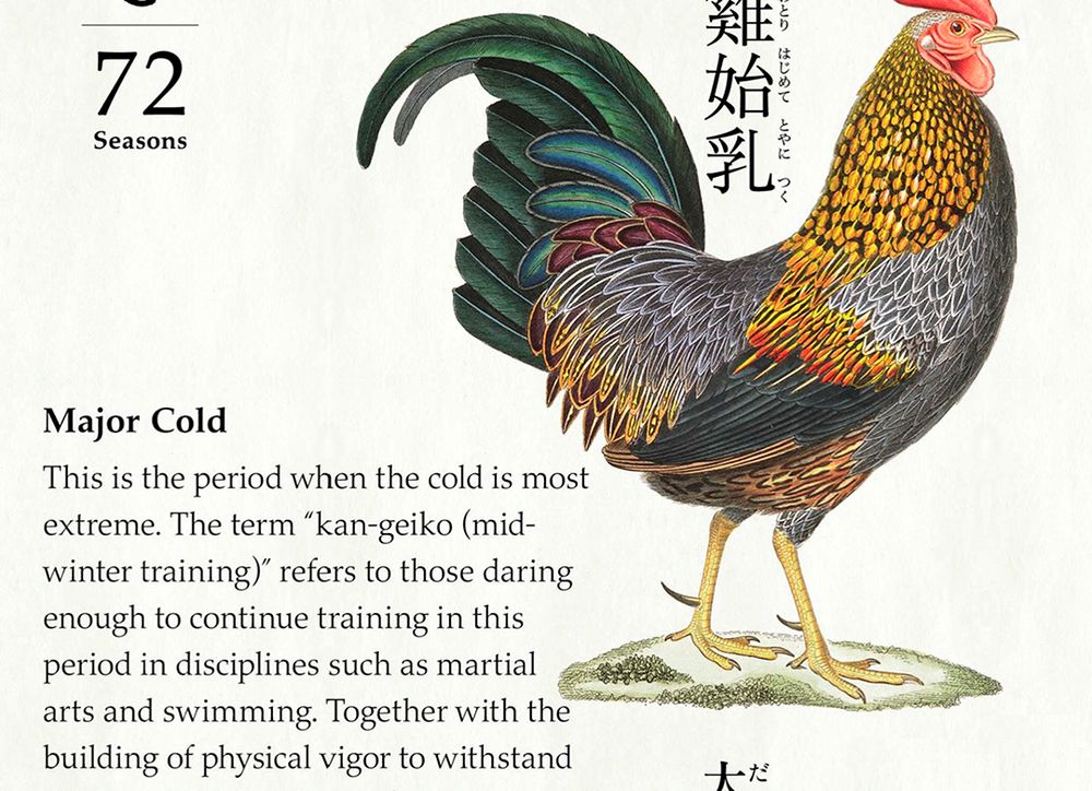 An app screen of 72 Seasons reading "Major Cold."