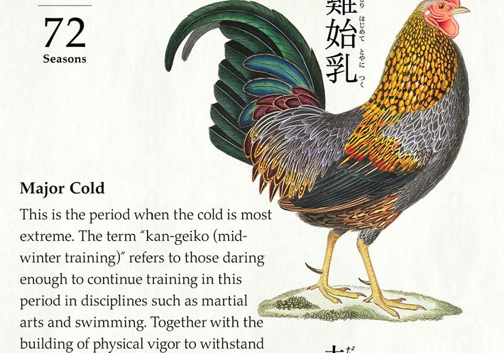 An app screen of 72 Seasons reading "Major Cold."