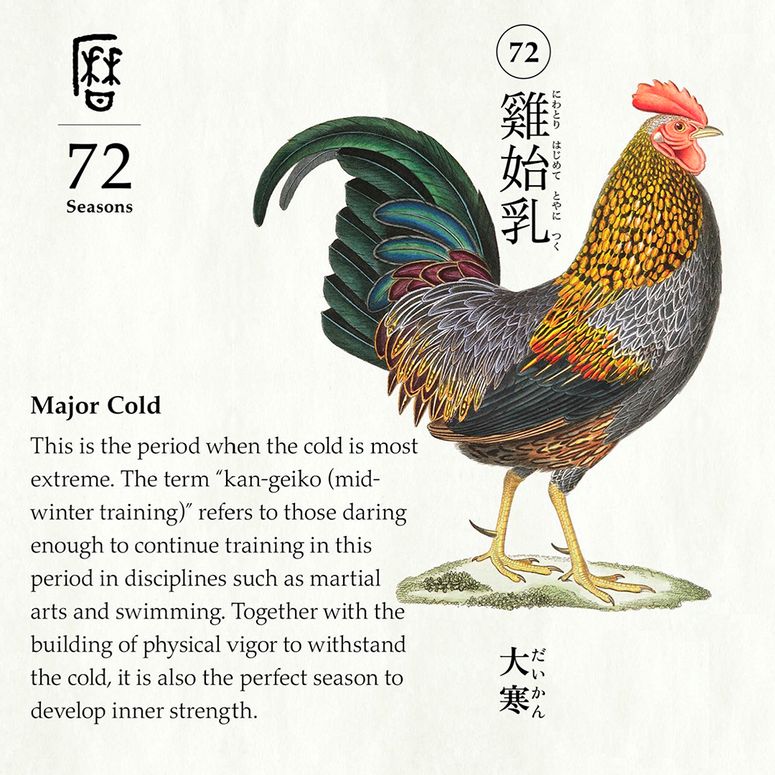 An app screen of 72 Seasons reading "Major Cold."