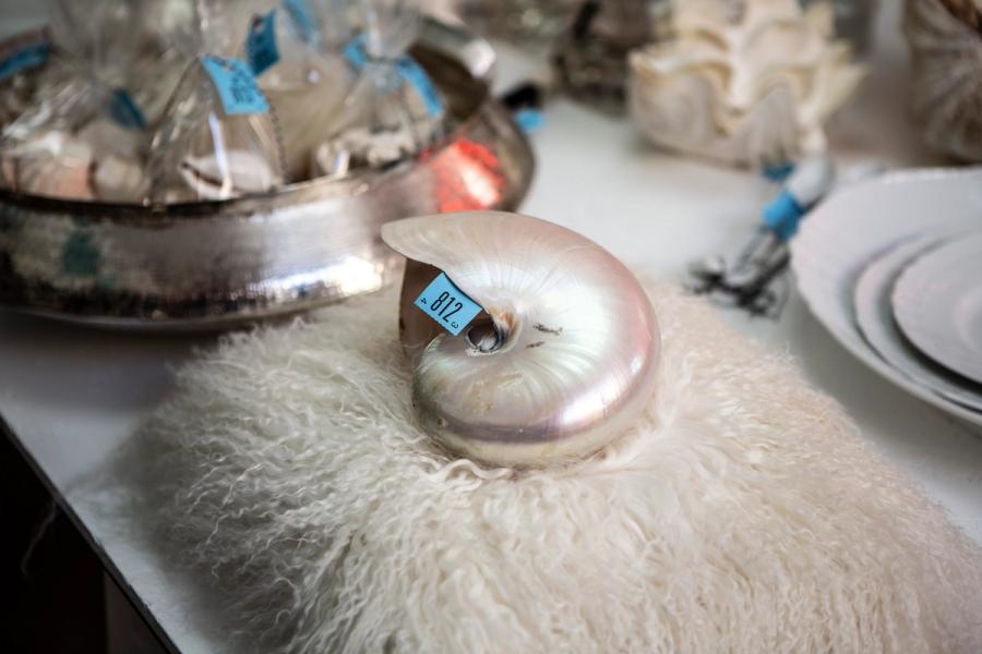 An object in the “Take It or Leave It” exhibition. (Photo: Antonio Campanella)