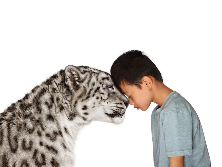 Photo of child with snow leopard from The Lion's Share campaign