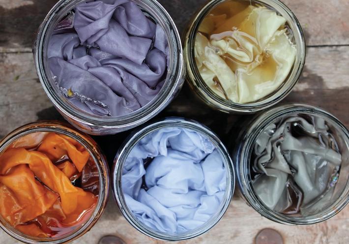 The Terroir of Natural Color Dyes