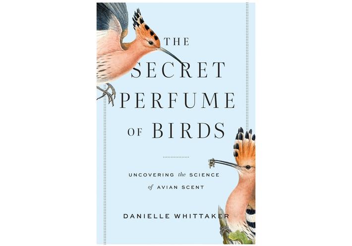 The Secret Perfume of Birds cover