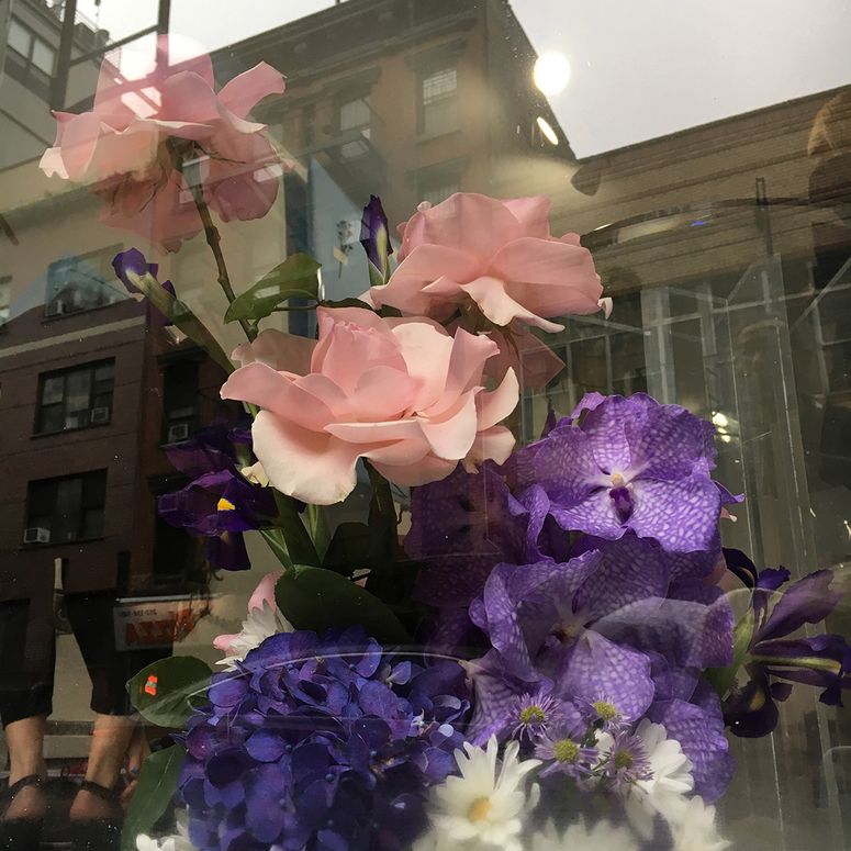 Pink and purple flowers in a window display.