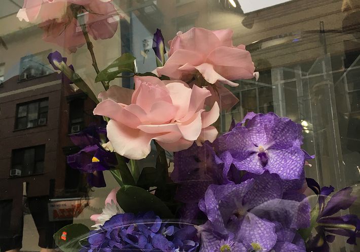 Pink and purple flowers in a window display.