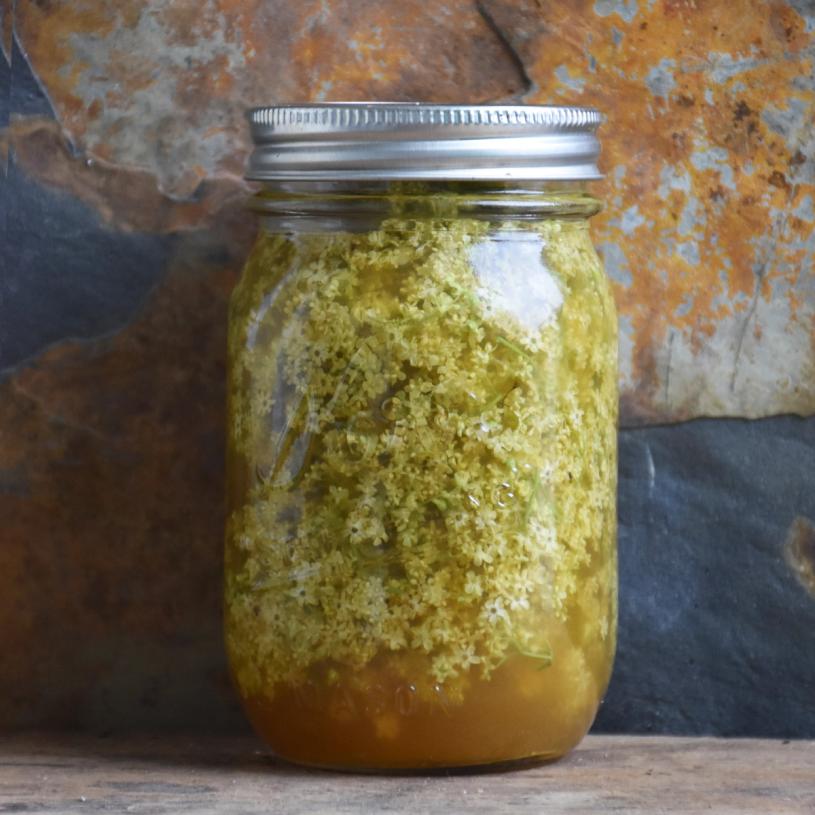 A jar of elderflower vinegar made by Baudar. (Courtesy Pascal Baudar)