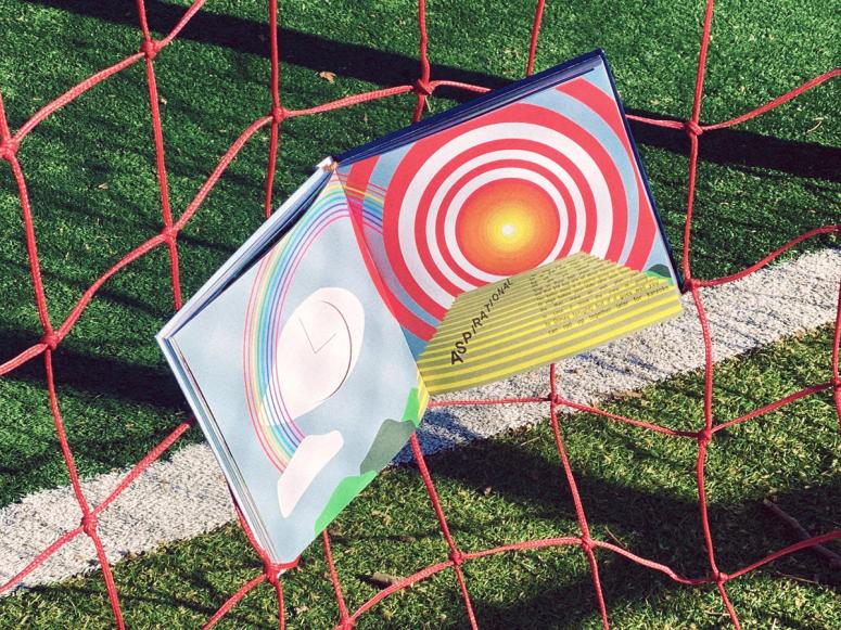 The Dimes cookbook on a soccer goal's net.