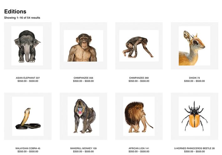 Editions of animal photos on Andrew Zuckerman's website.