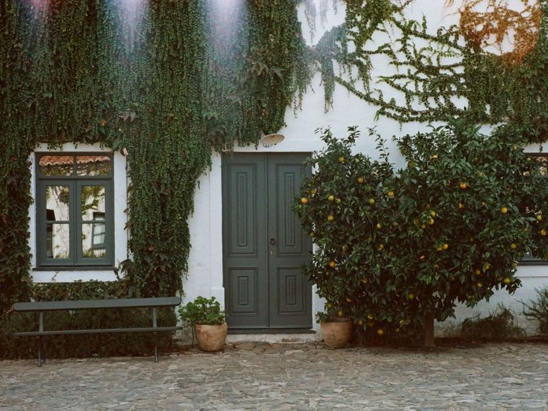 São Lourenço do Barrocal (Photo: Mark Borthwick/Courtesy The Leading Hotels of the World)