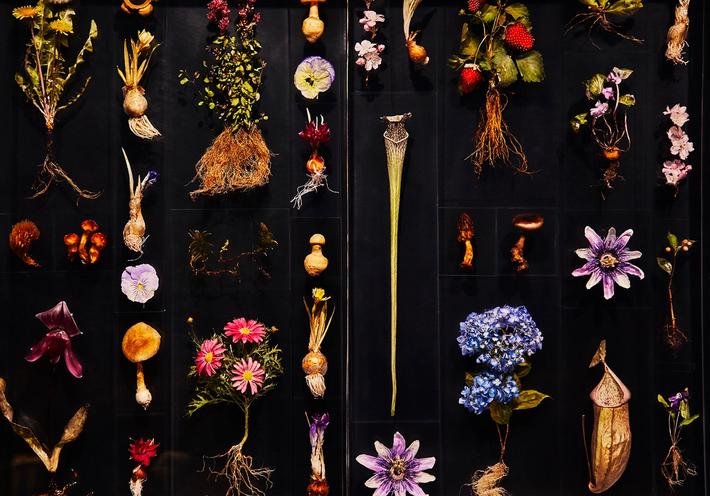 The Scentless Eternal Flowers Made by Japanese Artist Makoto Azuma