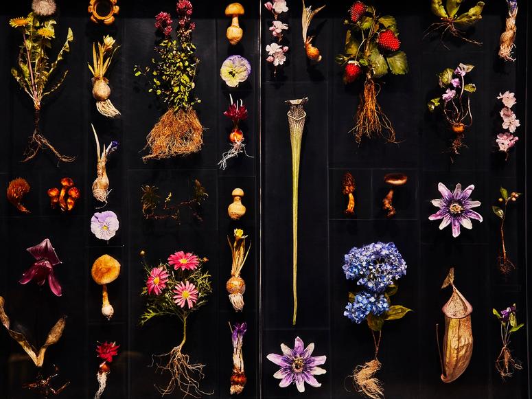 A grid of multicolored flowers on a black block.
