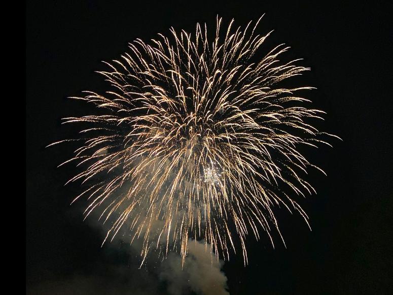 A large white fireworks explosion in a black sky.
