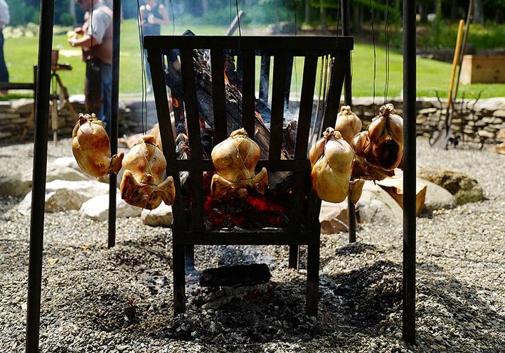 Chickens hanging around a grill in summer.