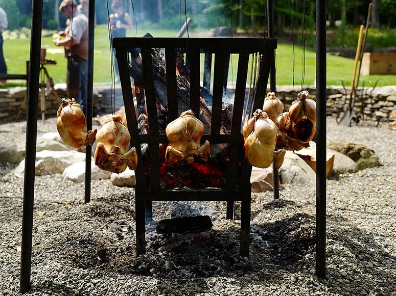 Chickens hanging around a grill in summer.