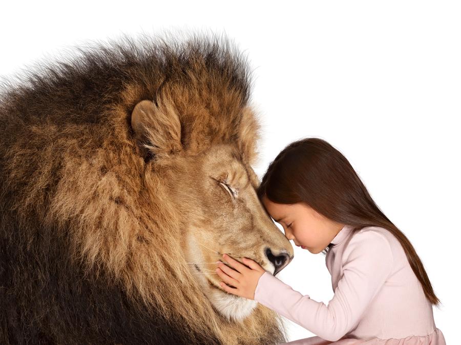 Photo of child with lion from The Lion's Share campaign