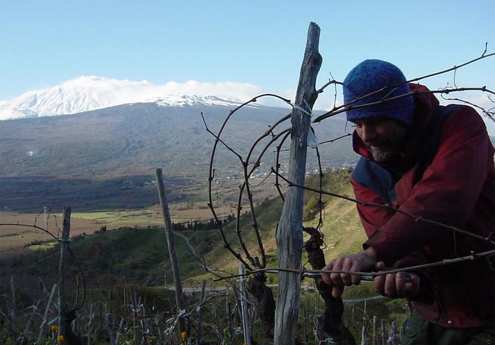 Made from Grapes Grown on an Active Volcano, These Wines Smack of Liquid Stone
