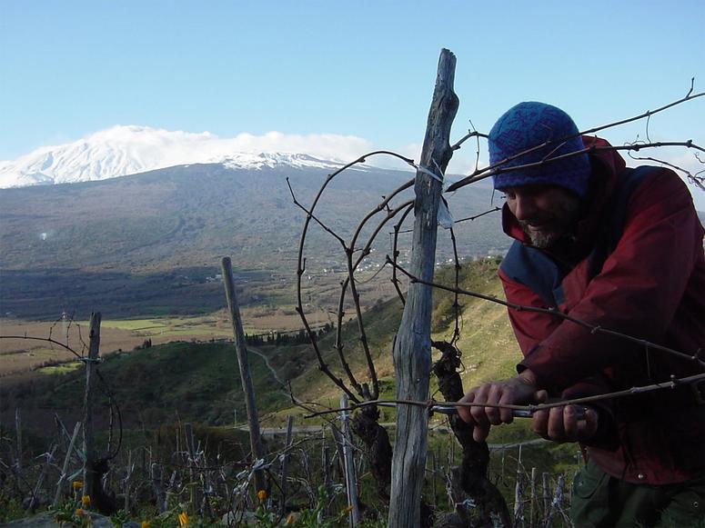 Winemaker Frank Cornelissen