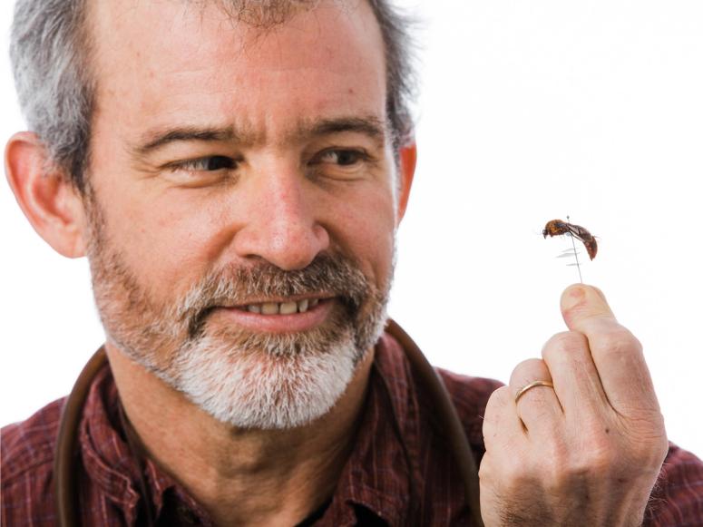 Dr. Brian Fisher smiling and examining a pinned wasp.