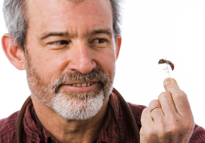 Entomologist Dr. Brian Fisher on Why Edible Insects are Good for Your Health