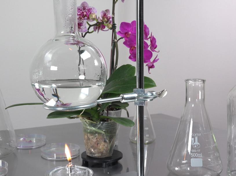 Anicka Yi, “The Flavor Genome” (2016). (Courtesy the artist and the Rosenkranz Collection)