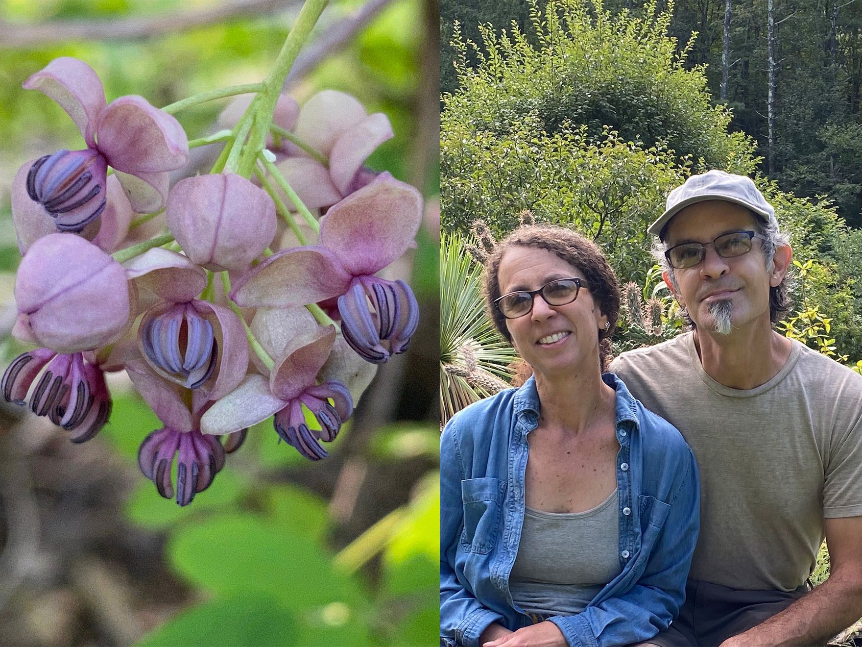 From Their 21-Acre New York Estate, a Botanist Couple Propagates