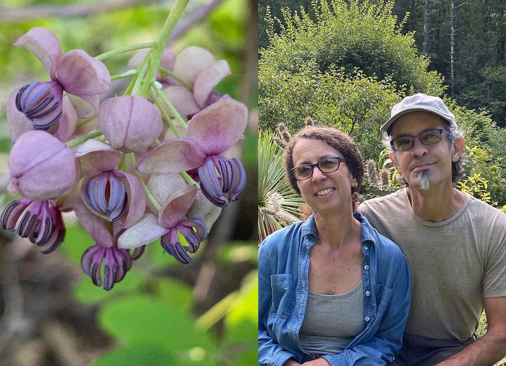 Akebia flowers at the Hortus Arboretum and Botanical Gardens (left) and co-founders Allyson Levy and Scott Serrano (right). (Courtesy Chelsea Green Publishing)