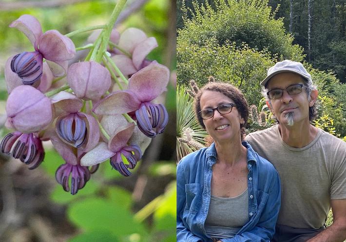 From Their 21-Acre New York Estate, a Botanist Couple Propagates Plants and Gardening Know-How