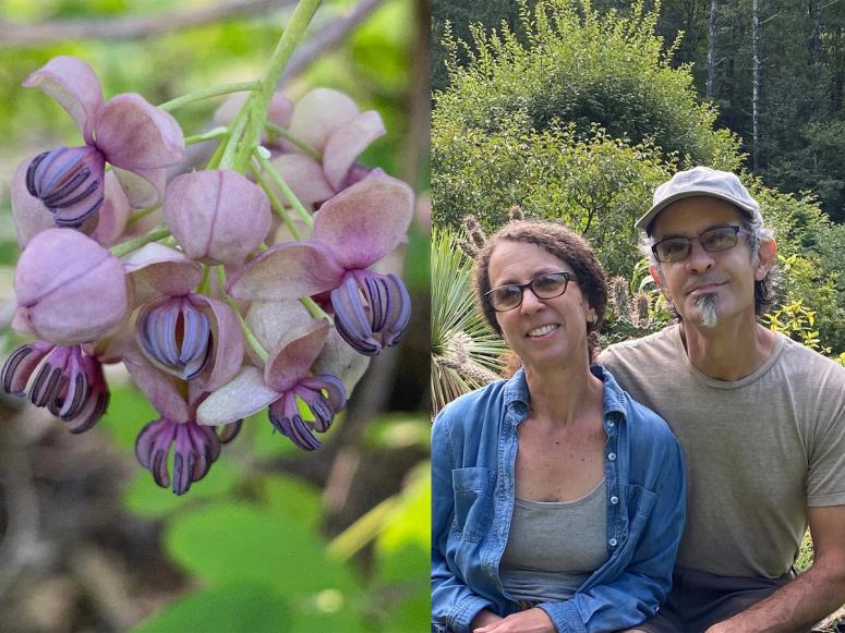 Akebia flowers at the Hortus Arboretum and Botanical Gardens (left) and co-founders Allyson Levy and Scott Serrano (right). (Courtesy Chelsea Green Publishing)