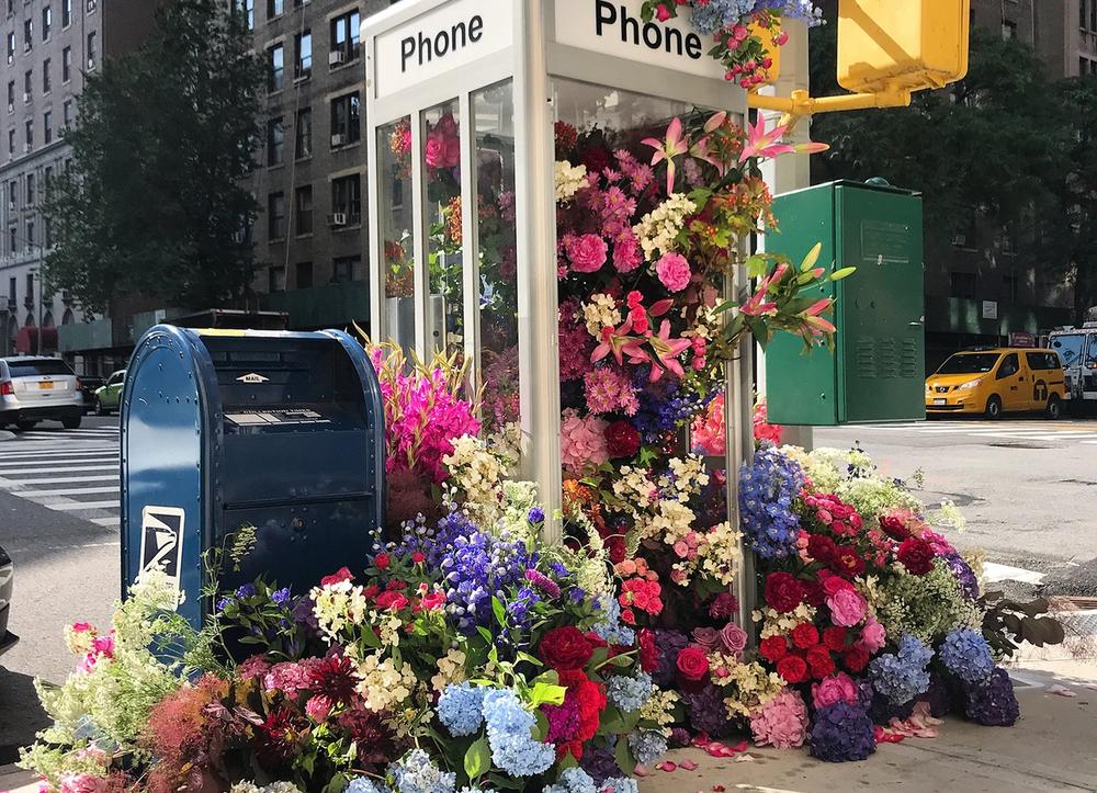 Hundreds of flowers spill out of a phone booth on on New York City street corner.