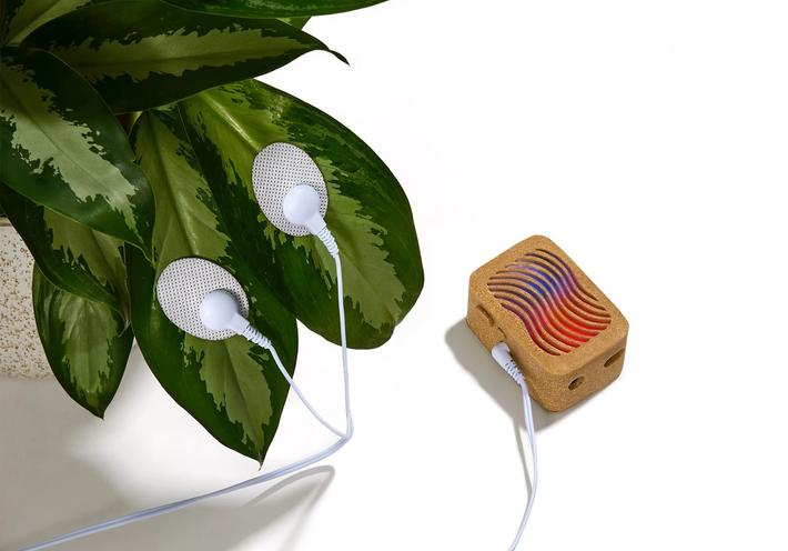 A User-Friendly Device That Creates Ambient Music With Plants