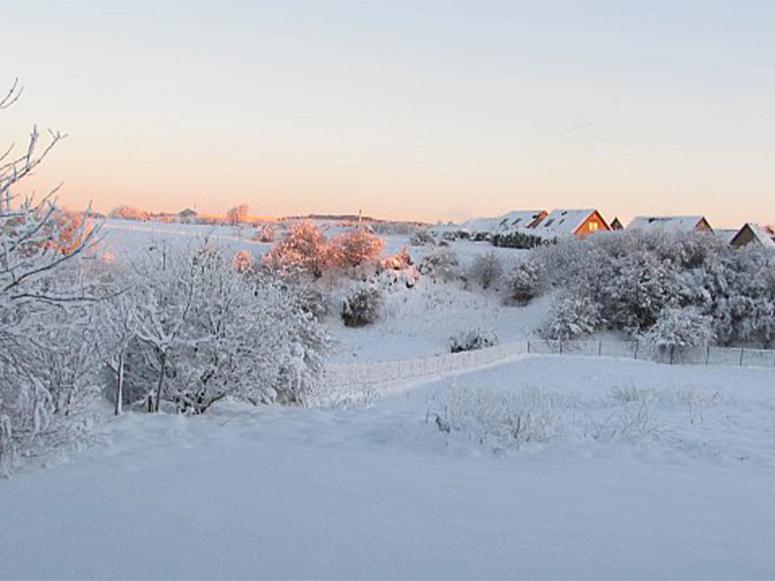 Snowy landscape