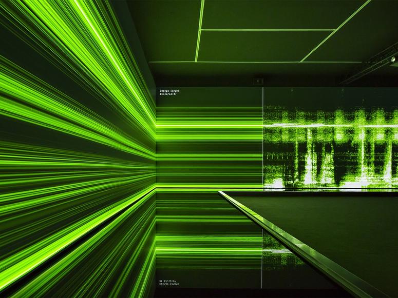 “The Great Animal Orchestra” at the Peabody Essex Museum