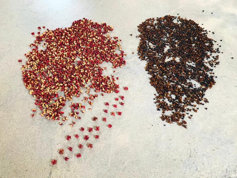 Small piles of red and brown peppercorns on concrete.