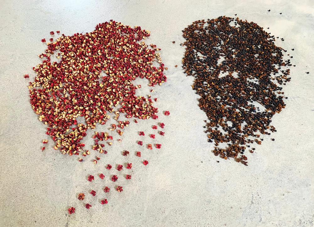 Small piles of red and brown peppercorns on concrete.
