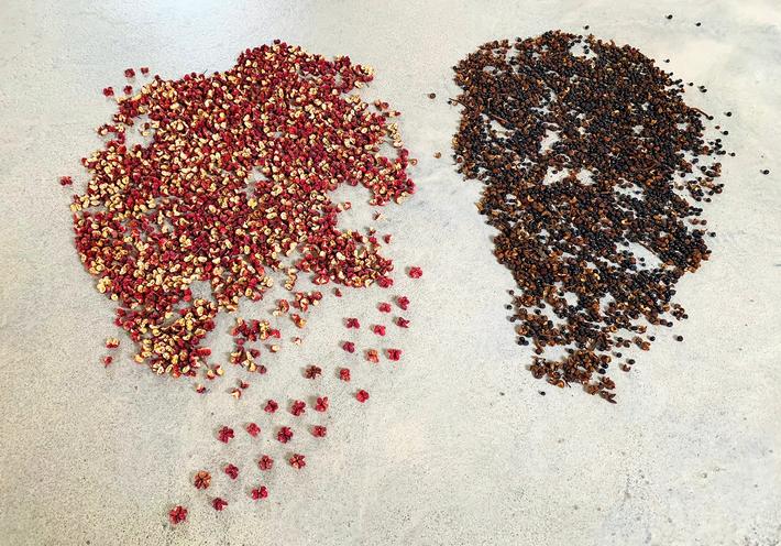 Test Your Spicy Food Tolerance with Mouth-Numbing Sichuan Peppercorns 